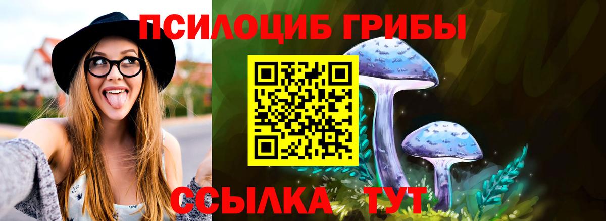 Галлюциногенные грибы Psilocybine cubensis Новозыбков