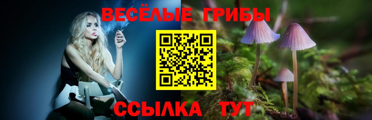 Псилоцибиновые грибы ЛСД  Вход с VPN  Галлюциногенные грибы мухоморы  Новозыбков 