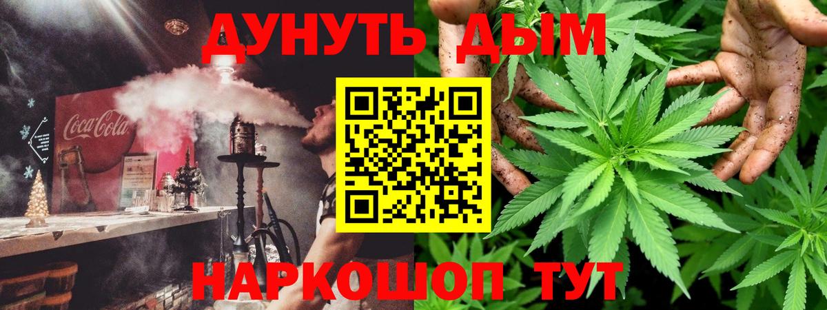 Конопля Amnesia Новозыбков